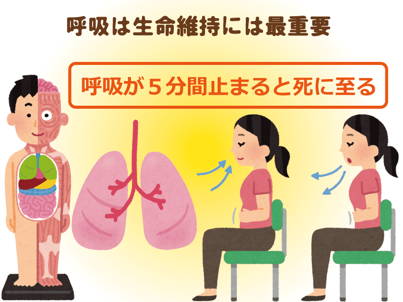 Respiração, memória