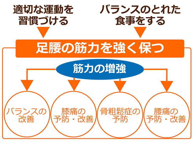 【高齢者に多い】ロコモティブシンドロームとは?原因と予防のポイント|みんなの介護