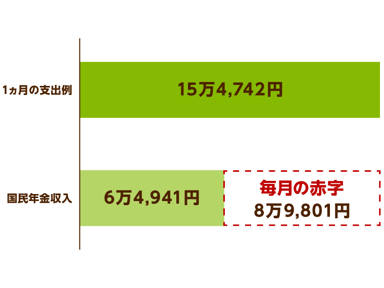 毎月の支出例と国民年金収入