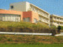緑に囲まれた建物外観